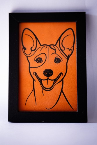 obrazek_Basenji3