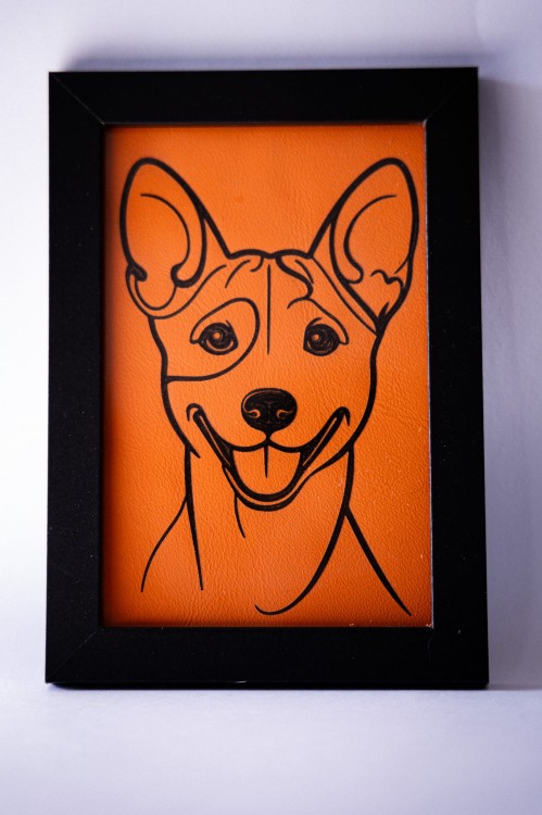 obrazek_Basenji3