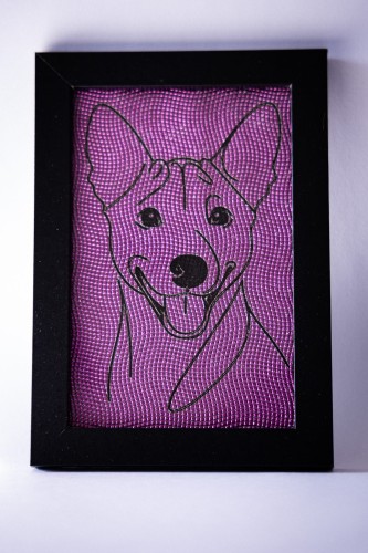 obrazek_Basenji6