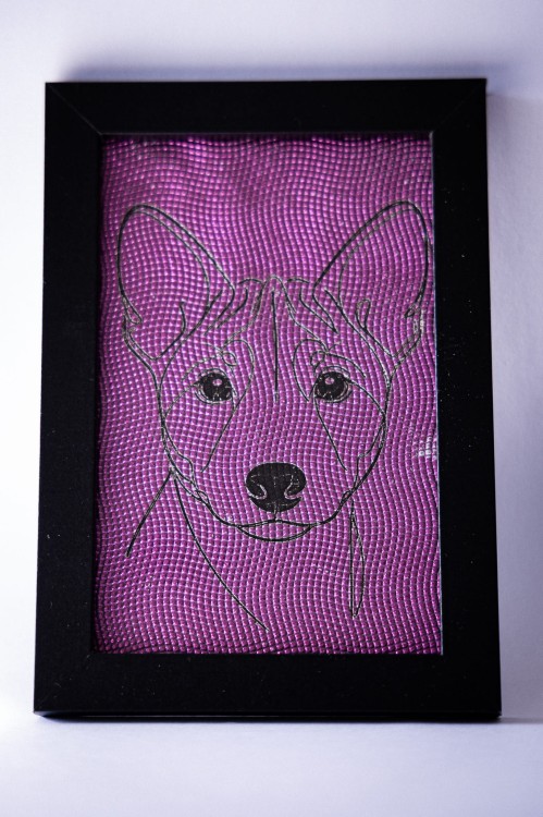 obrazek_Basenji5