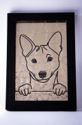 obrazek_Basenji4