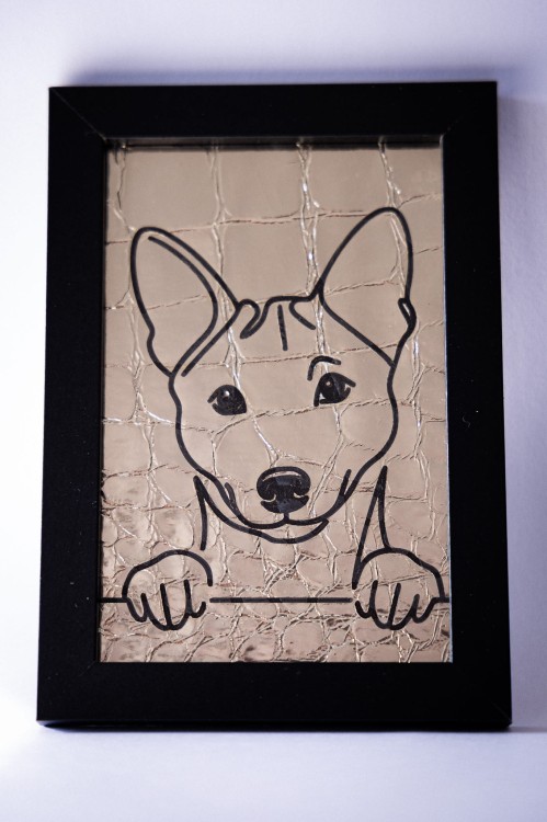 obrazek_Basenji4