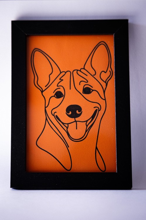obrazek_Basenji2
