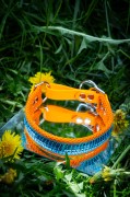 carnival light blue2