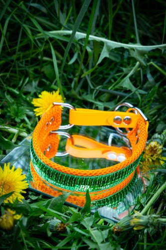 carnival green12