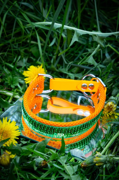 carnival green12