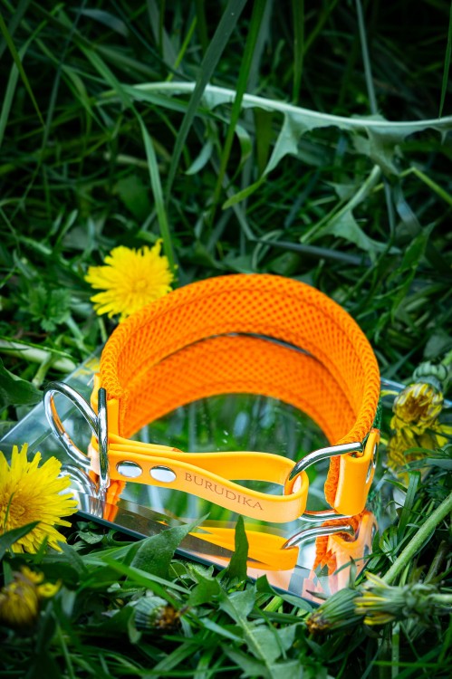 carnival green1