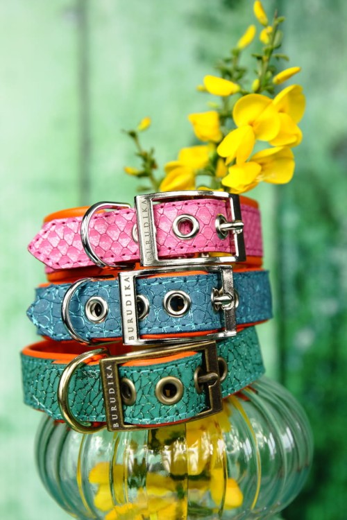 lisbon bloom_stack
