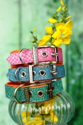 lisbon bloom_stack