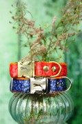 berries_stack