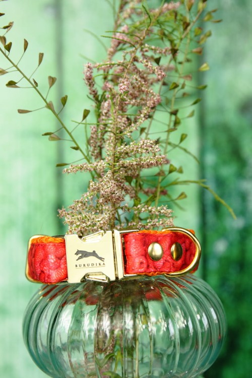 rasberry delight
