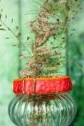 rasberry delight1