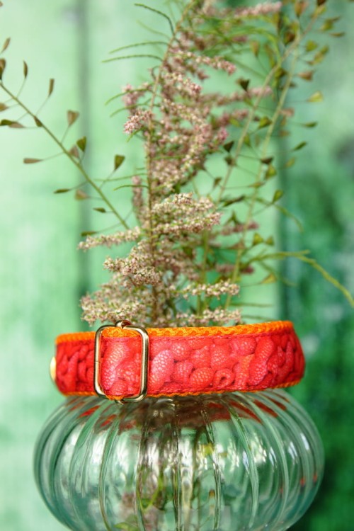 rasberry delight1