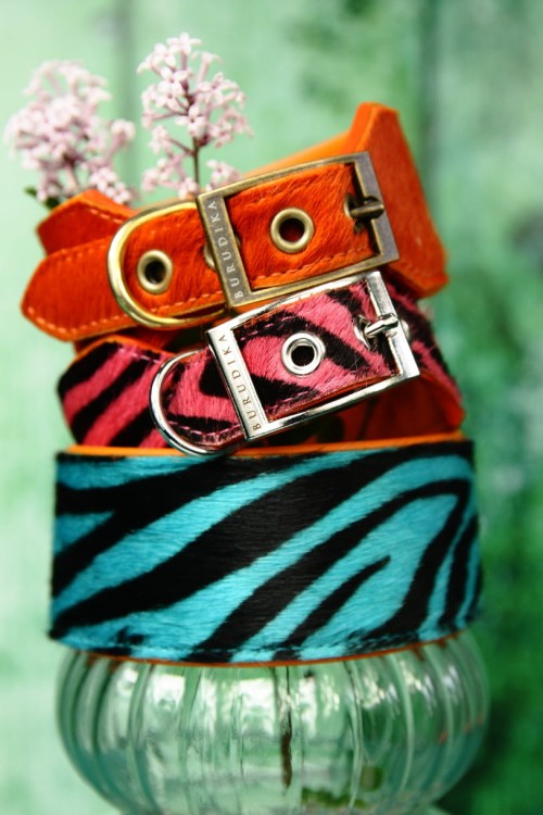 wild algavre_stack2